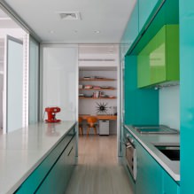 Turquoise di pedalaman: ciri, kombinasi, pilihan kemasan, perabot dan hiasan-2
